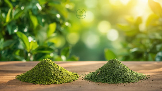 Matcha vs Sencha